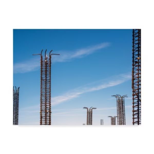 Thom Sivo 'Steel Rebar Forest' Canvas Art, 35x47, Trademark Fine Art, Mfr#: TS00067-C3547GG